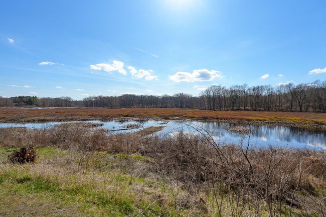 7350 Cedar Creek Rd, House other with 2 bedrooms, 2 bathrooms and null parking in Delton MI | Image 28