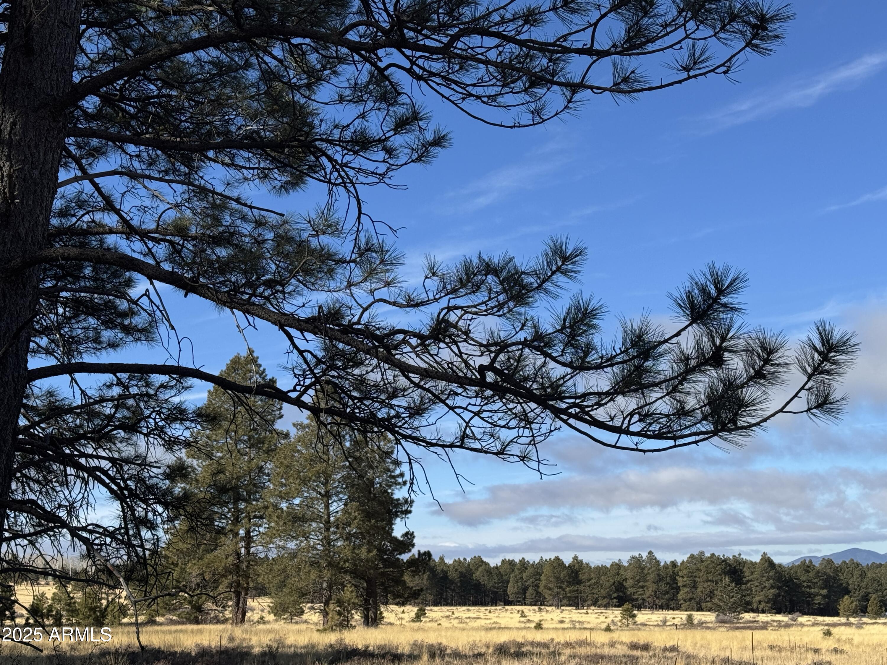 Land in Flagstaff 5