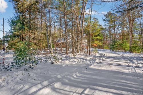 131 Ozeriany Rd, Barryville, NY, 12719 | Card Image