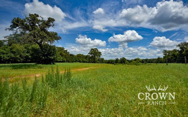 View of yard featuring a view of countryside and a forest view | Image 16