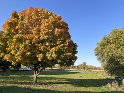 N4464 State Road 47, Black Creek, WI, 54106 | Card Image