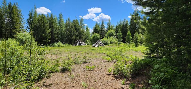 14463 Libby Creek Rd, Home with 0 bedrooms, 0 bathrooms and null parking in Libby MT | Image 13