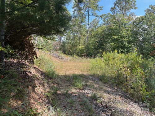 25 W Keesler St, Black Mountain, NC, 28711-3275 | Card Image