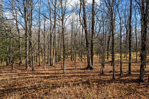 PT 3-00 Herron Mills Rd, Lanark, ON, K0G1K0 | Card Image