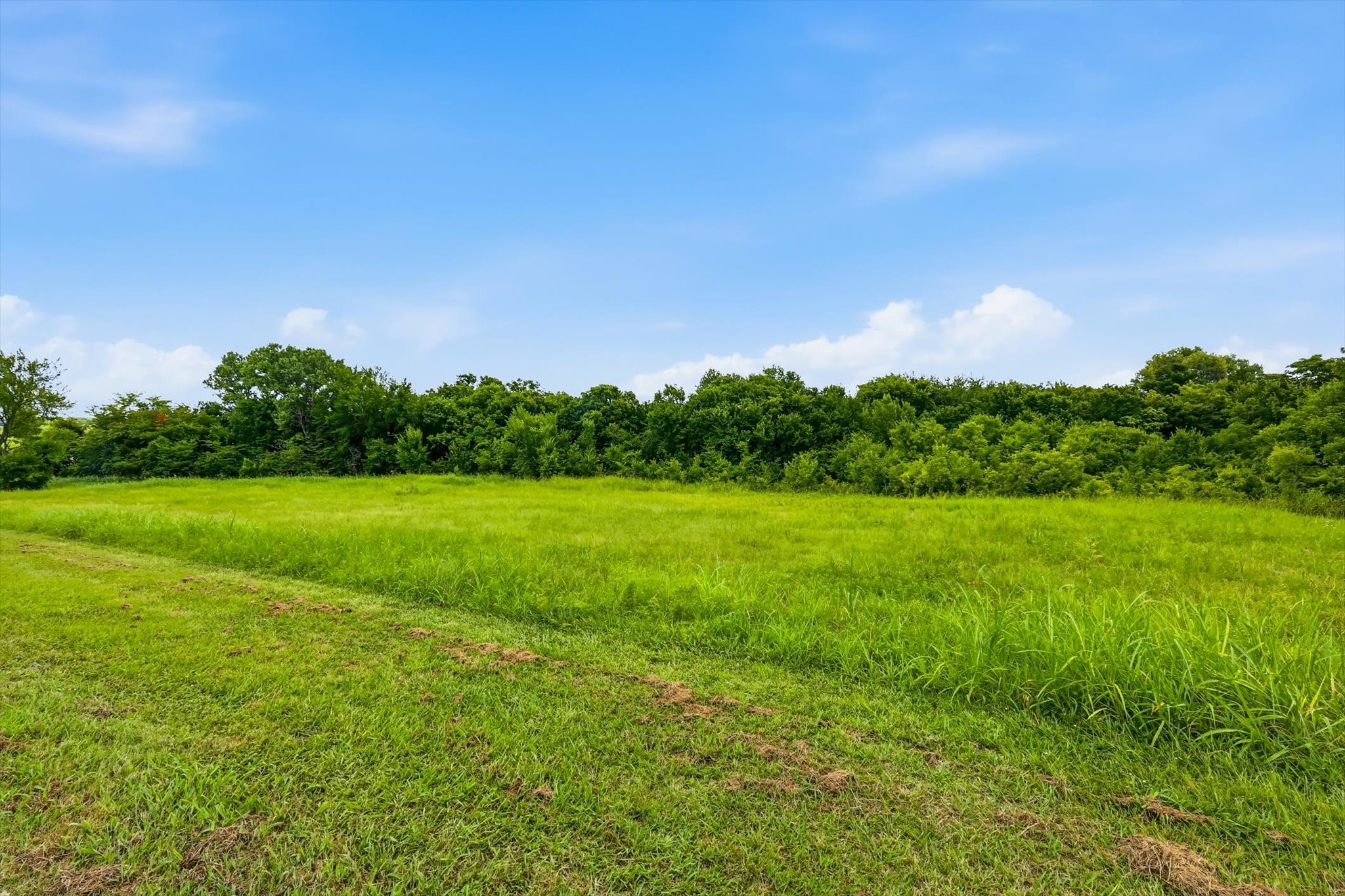 Land in Honey Grove 2