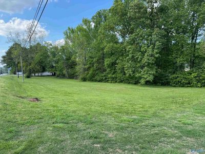 .90 ac Main Street, Home with 0 bedrooms, 0 bathrooms and null parking in Blountsville AL | Image 2