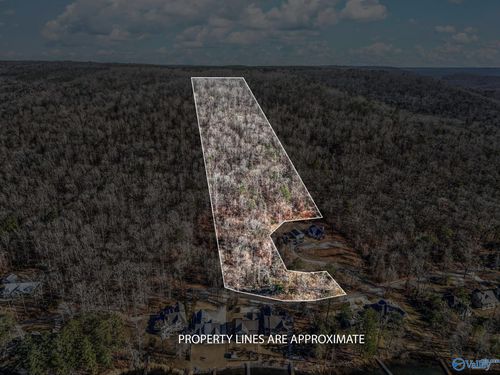 Lot 5 White Elephant Rd, Grant, AL, 35747 | Card Image