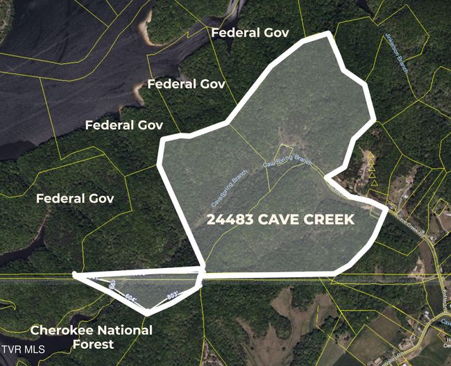 24483 Cave Creek Rd, House other with 5 bedrooms, 3 bathrooms and null parking in Abingdon VA | Image 74