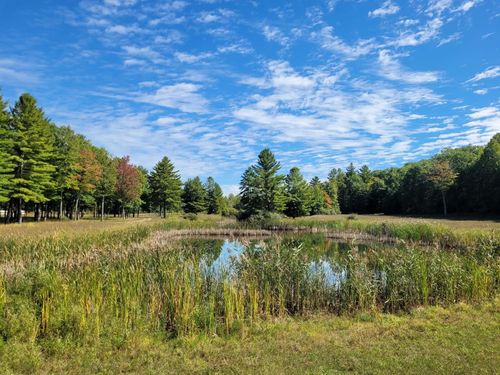 0 W M-55 Hwy, Wellston, MI, 49689 | Card Image