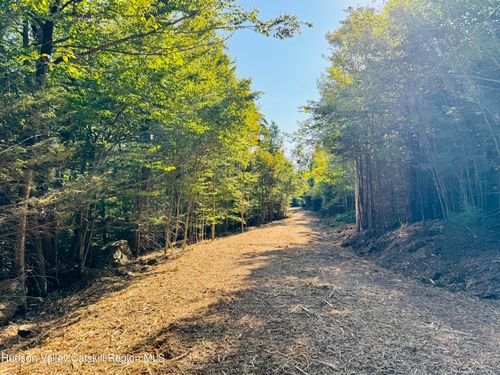 13 Corfu Rd, Elka Park, NY, 12427 | Card Image