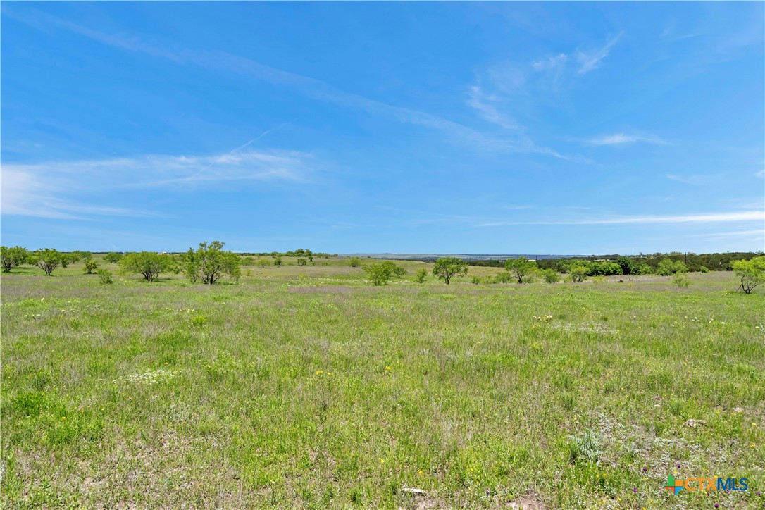 Farm in Burnet 4