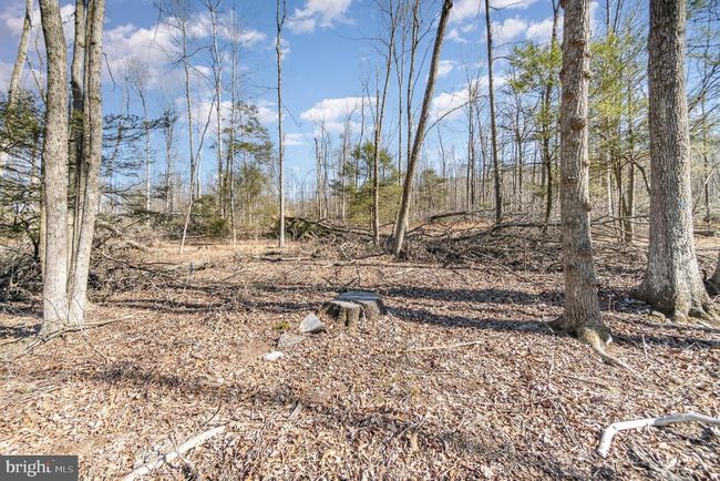 LOT-6 - 0 Summit Rd, Home with 0 bedrooms, 0 bathrooms and null parking in Mc Clure PA | Image 7