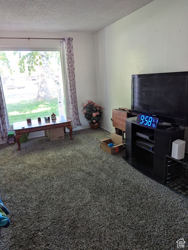 Game room with carpet floors and a textured ceiling | Image 5