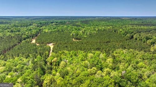 0 Williams Rd, Oglethorpe, GA, 31068 | Card Image