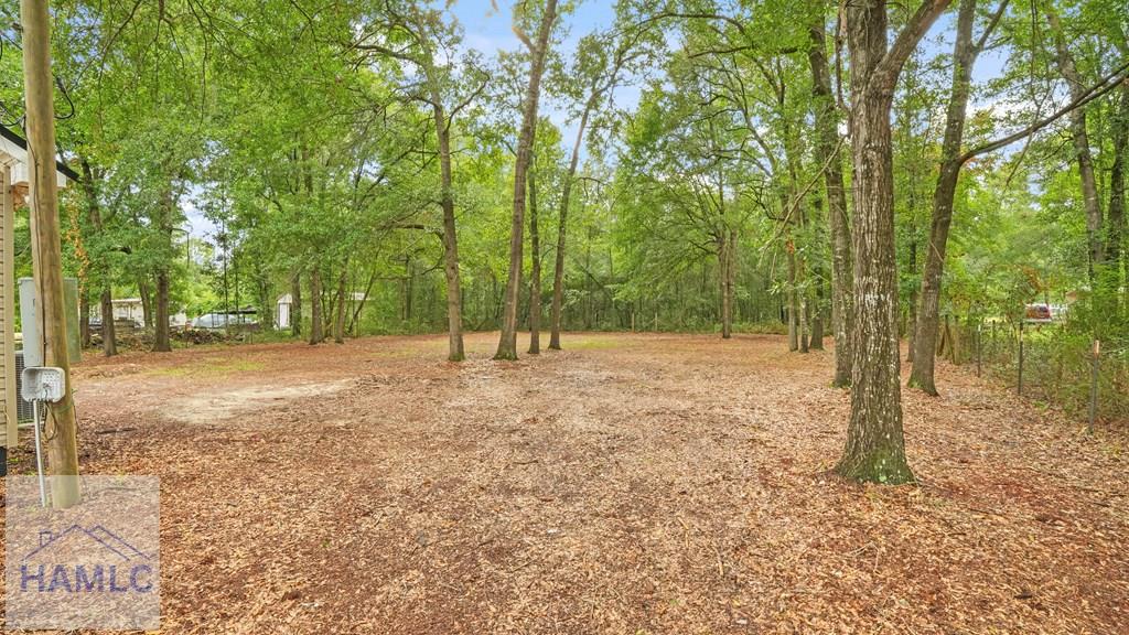 Residential in Jesup 3