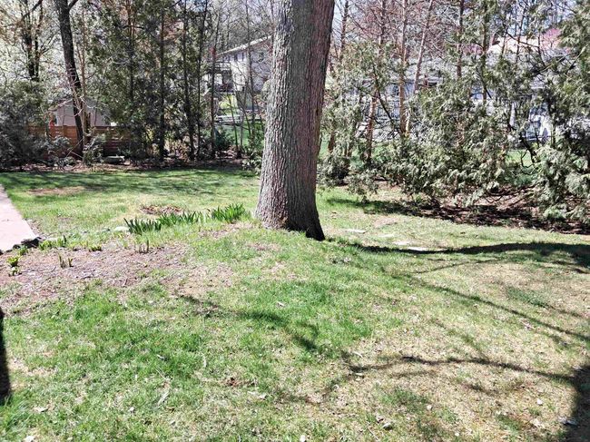 45 Tenby Dr, House other with 4 bedrooms, 2 bathrooms and null parking in Nashua NH | Image 36