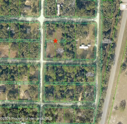 0 Goolsby St, WEBSTER, FL, 33597 | Card Image