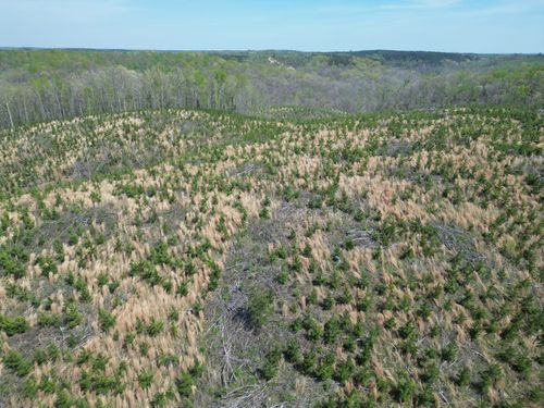 0C Waynesboro Hwy, Waynesboro, TN, 38485 | Card Image