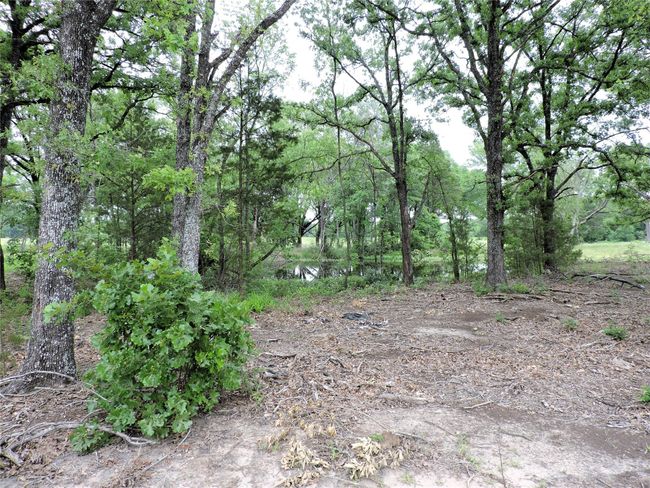 0 E Highway 175, Home with 0 bedrooms, 0 bathrooms and null parking in Mabank TX | Image 9