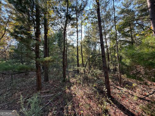 75 ACRES Roosevelt Hwy, Warm Springs, GA, 31830 | Card Image