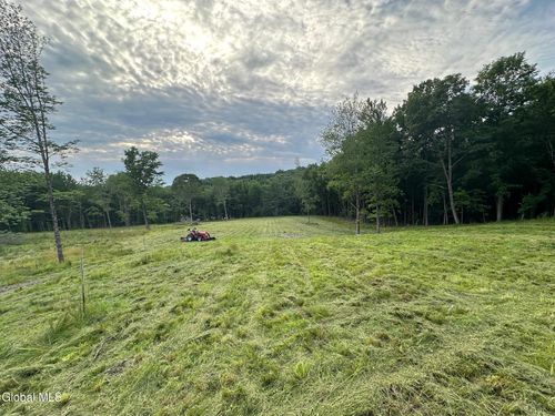 124 Thorne Rd, Old Chatham, NY, 12136-2723 | Card Image