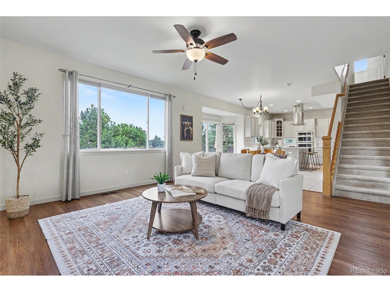 Residential in Colorado Springs 5