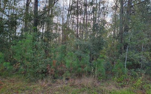 TBD Nw 61st Ct, Jennings, FL, 32053 | Card Image