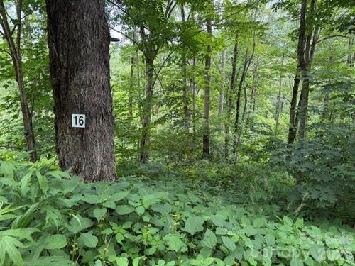 16-Lot 16 Iga Trail, Maggie Valley, NC, 28751 | Card Image