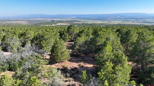 246 La Mesa Vista Dr, Norwood, CO, 81423 | Card Image