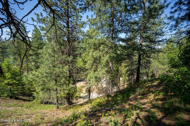 238 Black Sheep Rd, Home with 0 bedrooms, 0 bathrooms and null parking in Hope ID | Image 42