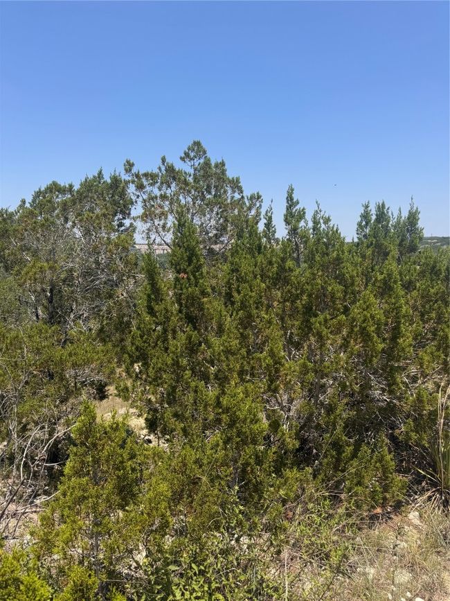 2508 Geronimo Trl, Home with 0 bedrooms, 0 bathrooms and null parking in Austin TX | Image 8