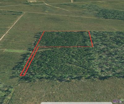 10 acres La Hwy 63, Home with 0 bedrooms, 0 bathrooms and null parking in Livingston LA | Image 3