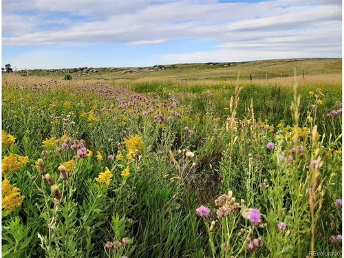 21550 Elk Meadows Cir, Elbert, CO, 80106-9325 | Card Image