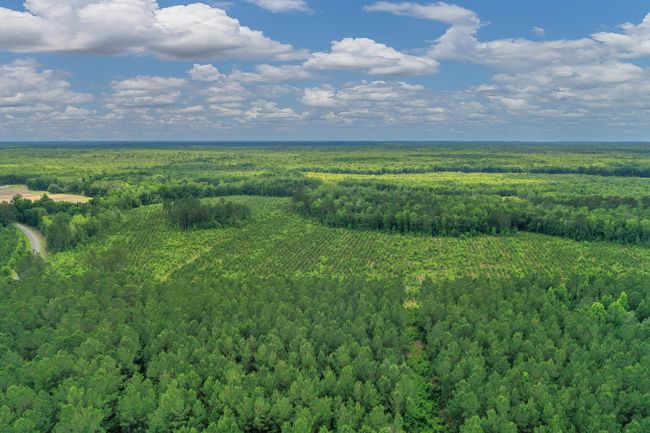 DJI_0297 | Image 39