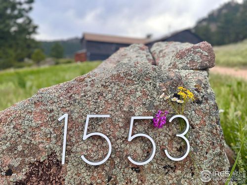 1553 Rowell Dr, Lyons, CO, 80540-8333 | Card Image