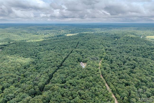 Bird's eye view of a forest | Image 83
