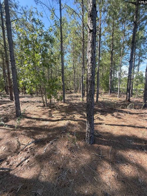KF 8 Providence Road, Kershaw, SC, 29067 | Card Image