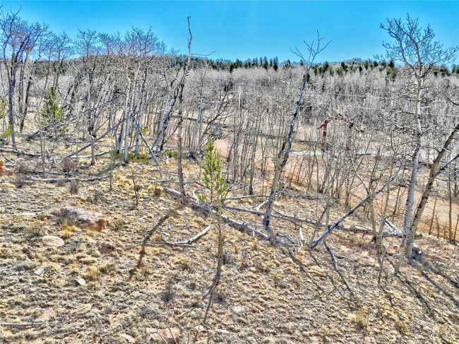View of landscape | Image 18