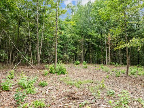 00 Mistletoe Rd, Gilmer, TX, 75644 | Card Image