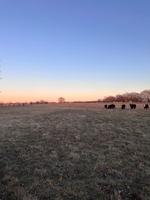 000 Civil War Ave, Carthage, MO, 64836 | Card Image