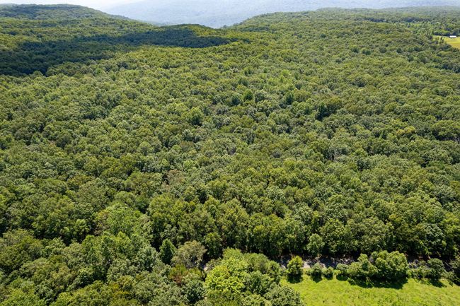 0 Stage Coach Rd, Home with 0 bedrooms, 0 bathrooms and null parking in Sewanee TN | Image 13