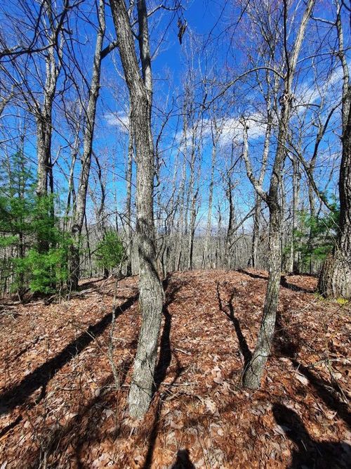 Lot # 7 Quail Dr, Murphy, NC, 28906 | Card Image