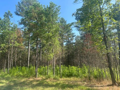 520 Buck Crossing Dr, Guild, TN, 37340 | Card Image
