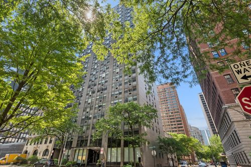 7h-253 E Delaware Pl, Chicago, IL, 60611-5737 | Card Image