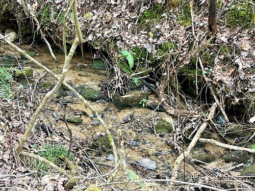 12 ACRE Pleasant Gap Rd, ELLIJAY, GA, 30540 | Card Image