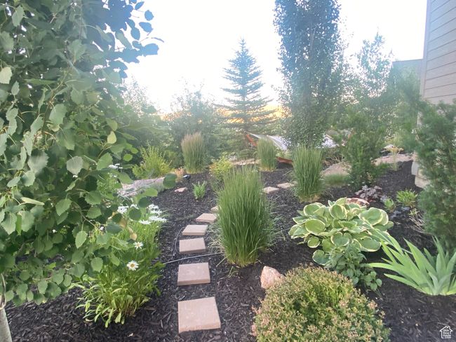 View of yard | Image 96