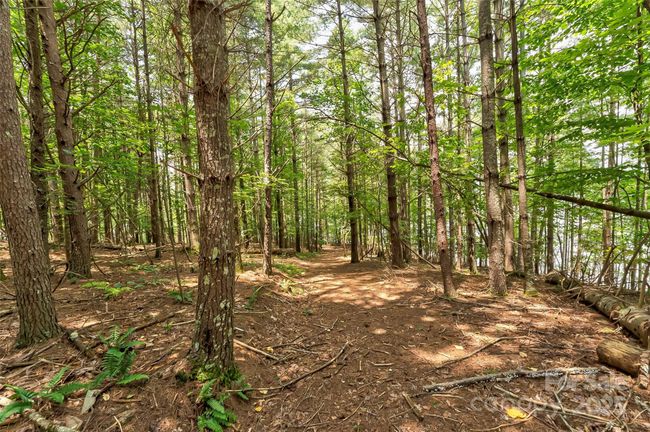 62 - 159 Deerberry Dr, Home with 0 bedrooms, 0 bathrooms and null parking in Nebo NC | Image 17