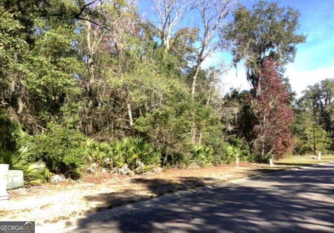 0 Cobia Ln, Home with 0 bedrooms, 0 bathrooms and null parking in Saint Mary's GA | Image 6