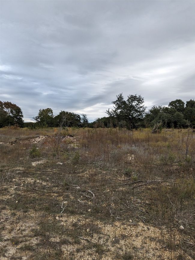 1314 County Road 127, Home with 0 bedrooms, 0 bathrooms and null parking in Carlton TX | Image 14