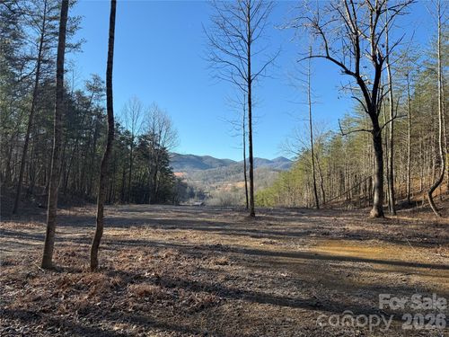 9999 Plumtree Holw, Hot Springs, NC, 28743 | Card Image